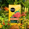Miracle-Gro All Purpose Compost 40L - Image 7