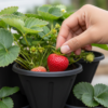 Stackable Vertical Garden - Strawberry Planter Pot - Image 7