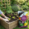 Growmoor Multi Purpose Potting Compost - Garden Soil Mix – 40L - Image 4